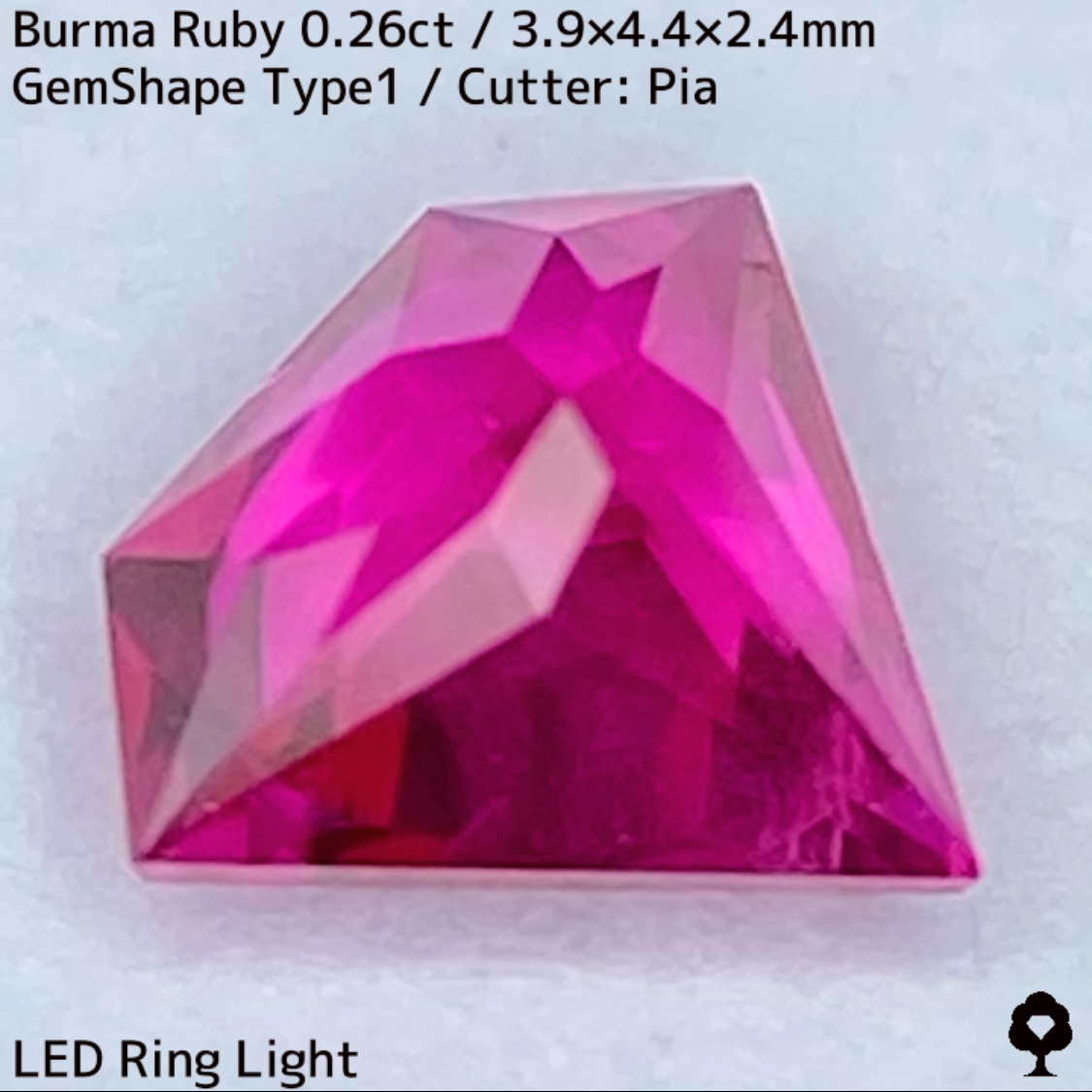 Ruby 0.26ct / Burma / GemShapeTP1