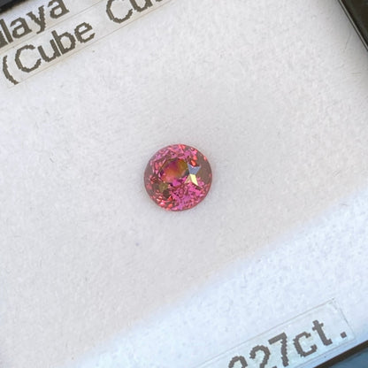 Malaya Garnet 1.327ct