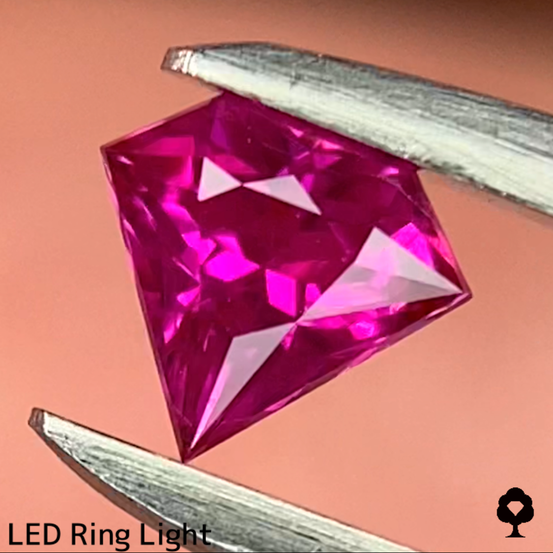 Ruby 0.26ct / Burma / GemShapeTP1