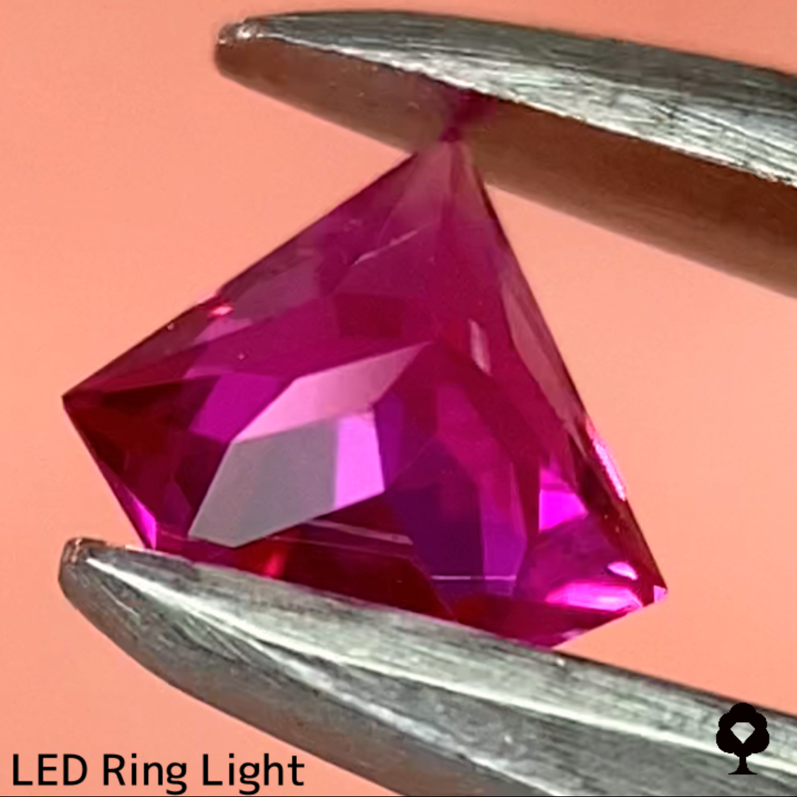 Ruby 0.26ct / Burma / GemShapeTP1