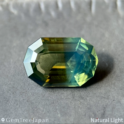 Parti-Color Sapphire 0.505ct / Thailand