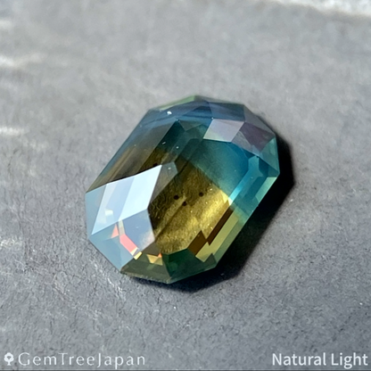 Parti-Color Sapphire 0.505ct / Thailand