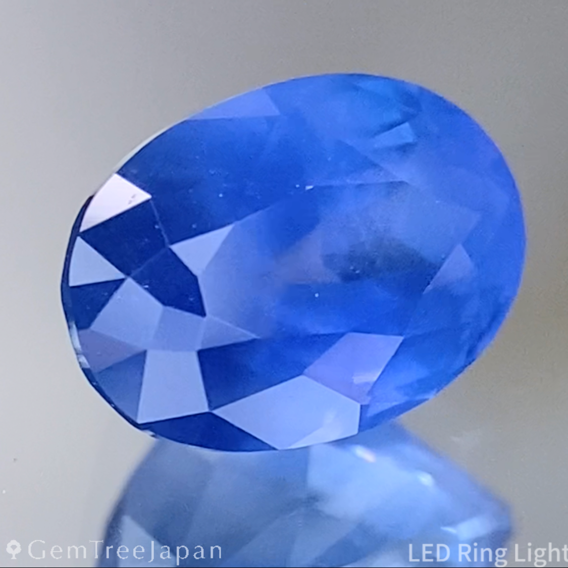 Un-Heat Sapphire 1.672ct / Sri Lanka