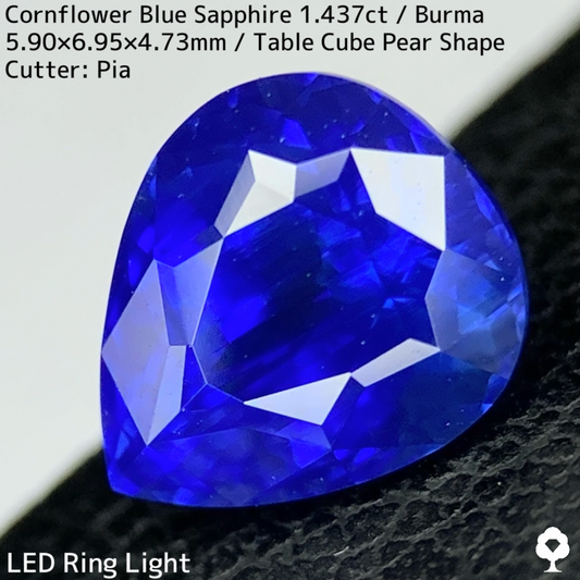 【Corundum Focus】Cornflower Blue Sapphire 1.437ct / Burma