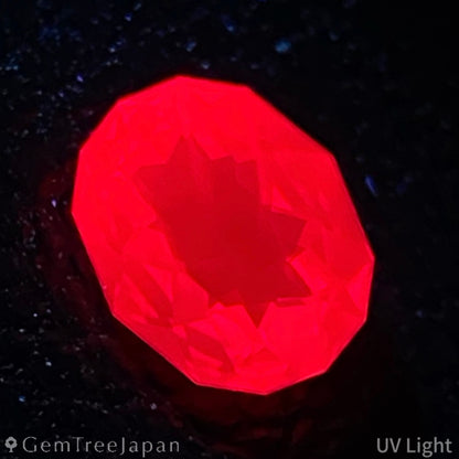 Ruby 0.221ct / Thailand