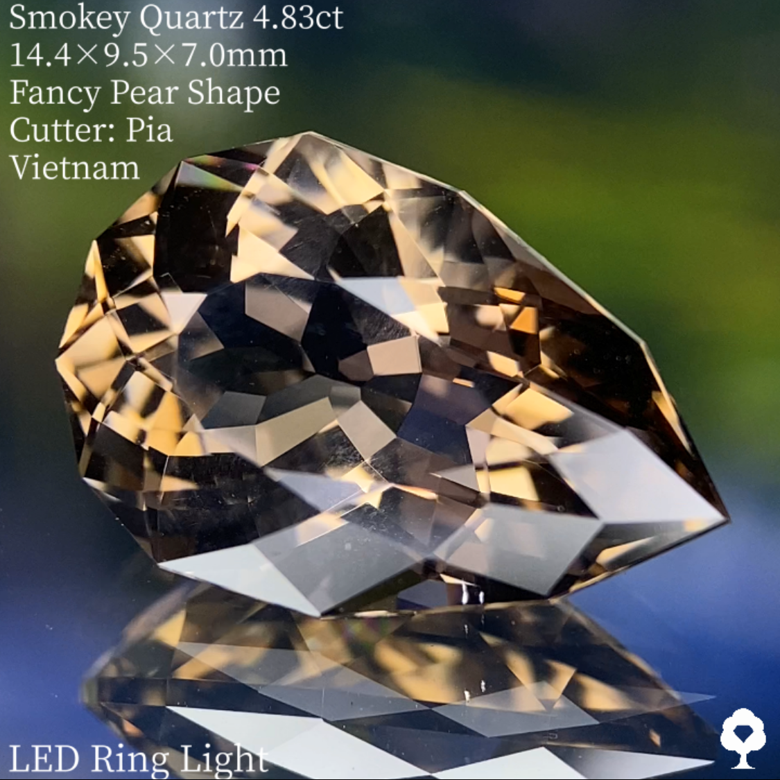 Smokey Quartz 4.83ct / Vietnam