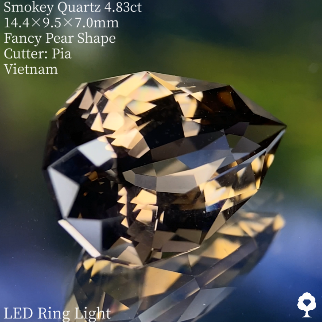 Smokey Quartz 4.83ct / Vietnam