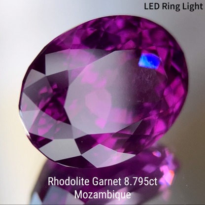 Rhodolite Garnet 8.795ct / Mozambique