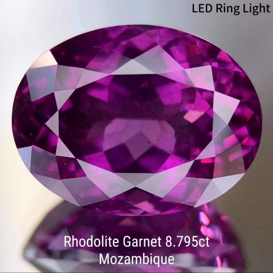 Rhodolite Garnet 8.795ct / Mozambique