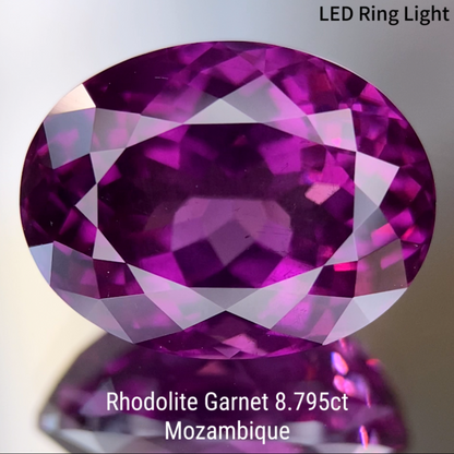 Rhodolite Garnet 8.795ct / Mozambique