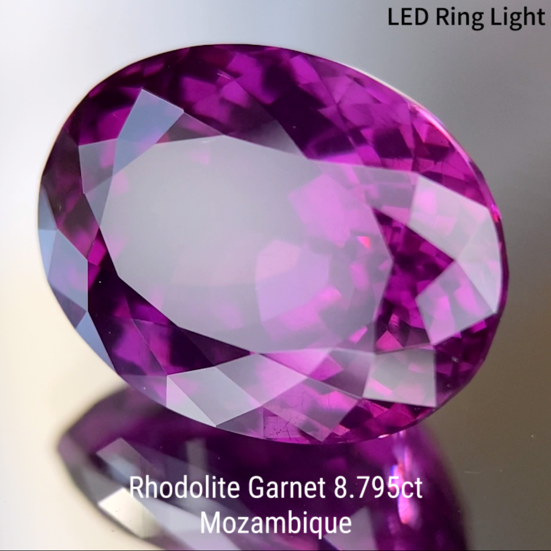 Rhodolite Garnet 8.795ct / Mozambique