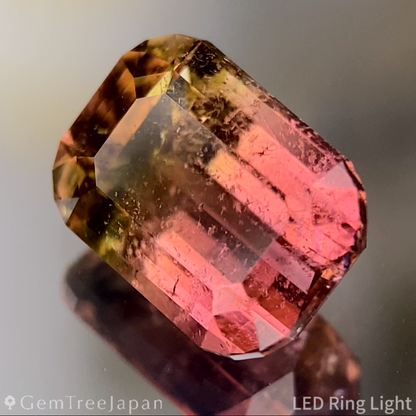 Bi-Color Tourmaline 2.618ct / Brazil