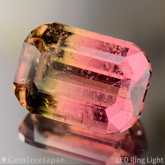 Bi-Color Tourmaline 2.618ct / Brazil