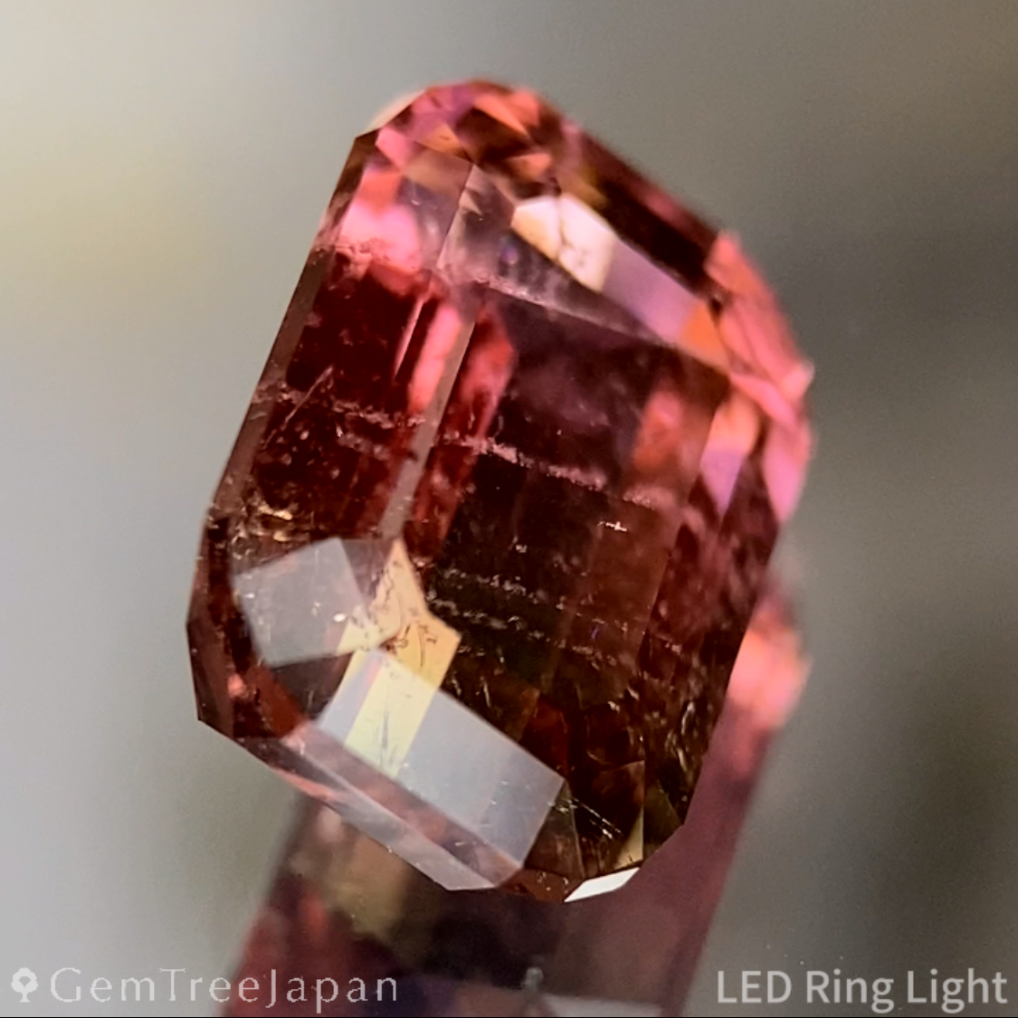 Bi-Color Tourmaline 2.618ct / Brazil