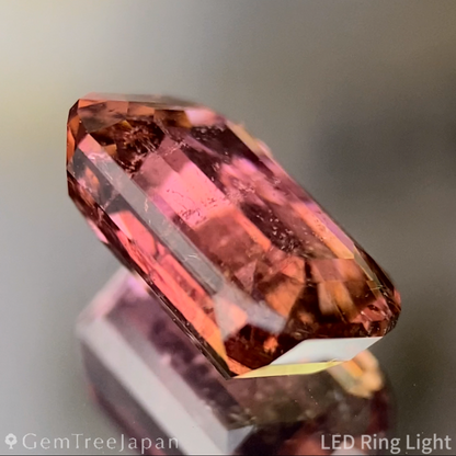 Bi-Color Tourmaline 2.618ct / Brazil