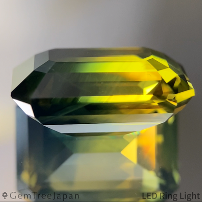 Bi-Color Sapphire 10.216ct / Nigeria