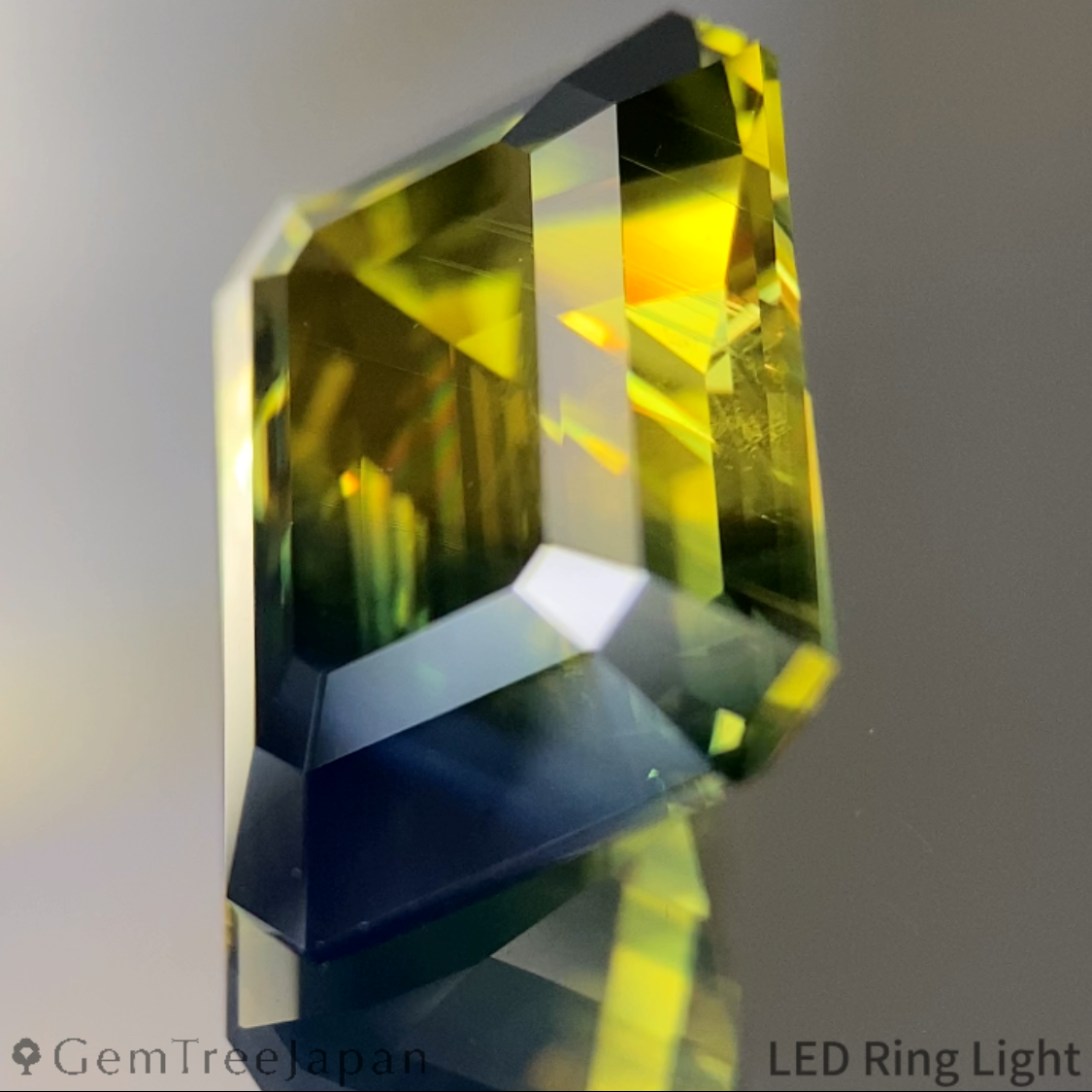 Bi-Color Sapphire 10.216ct / Nigeria