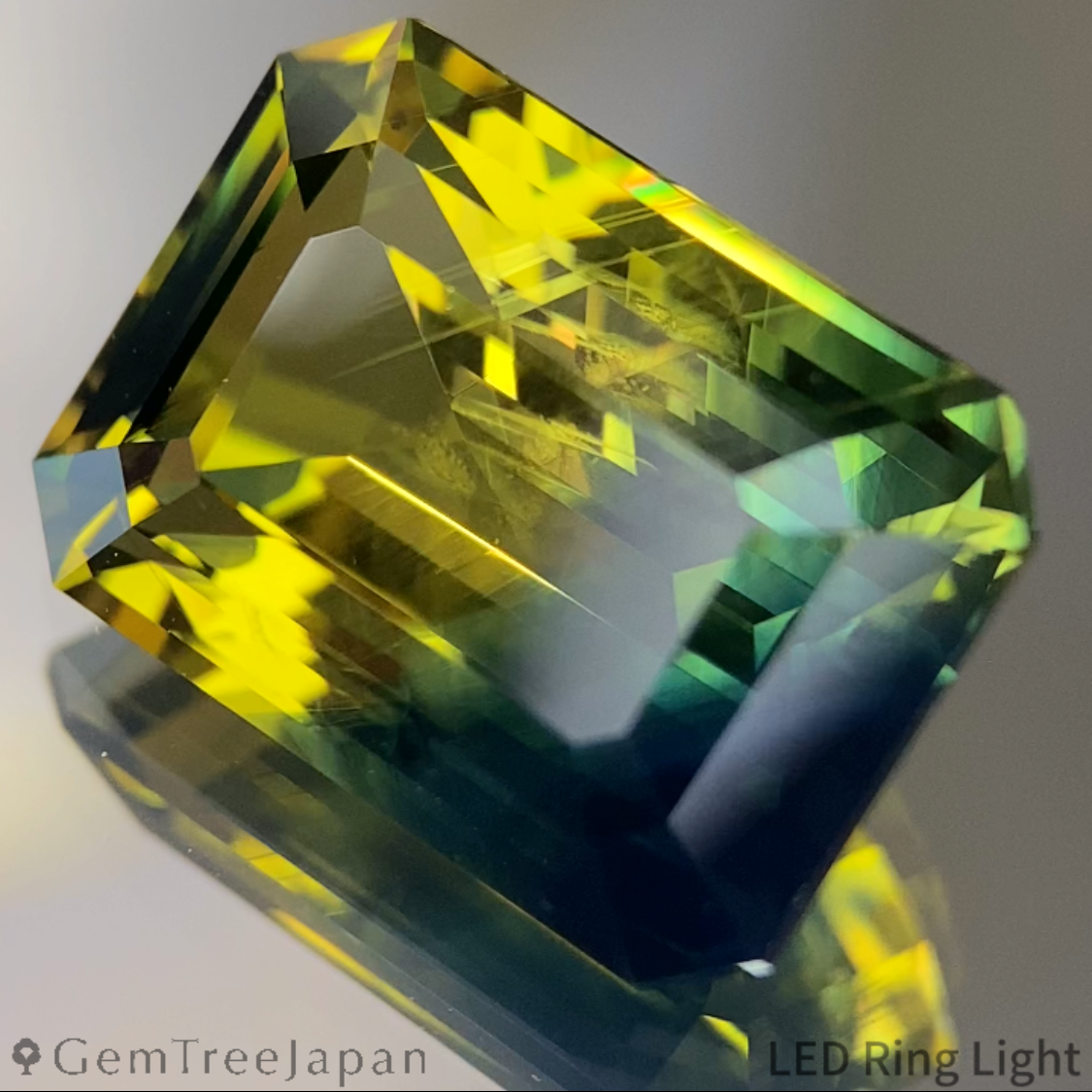 Bi-Color Sapphire 10.216ct / Nigeria