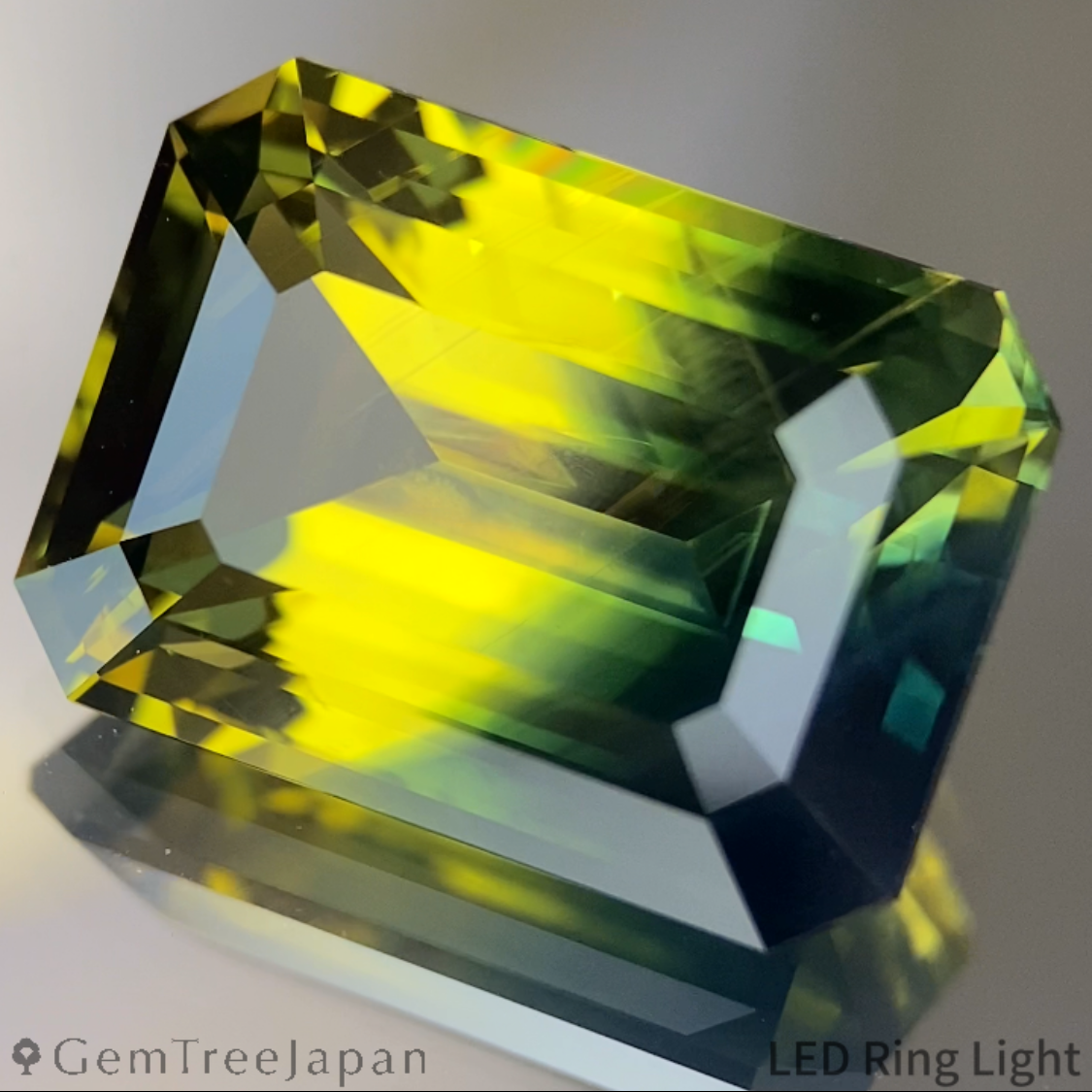 Bi-Color Sapphire 10.216ct / Nigeria