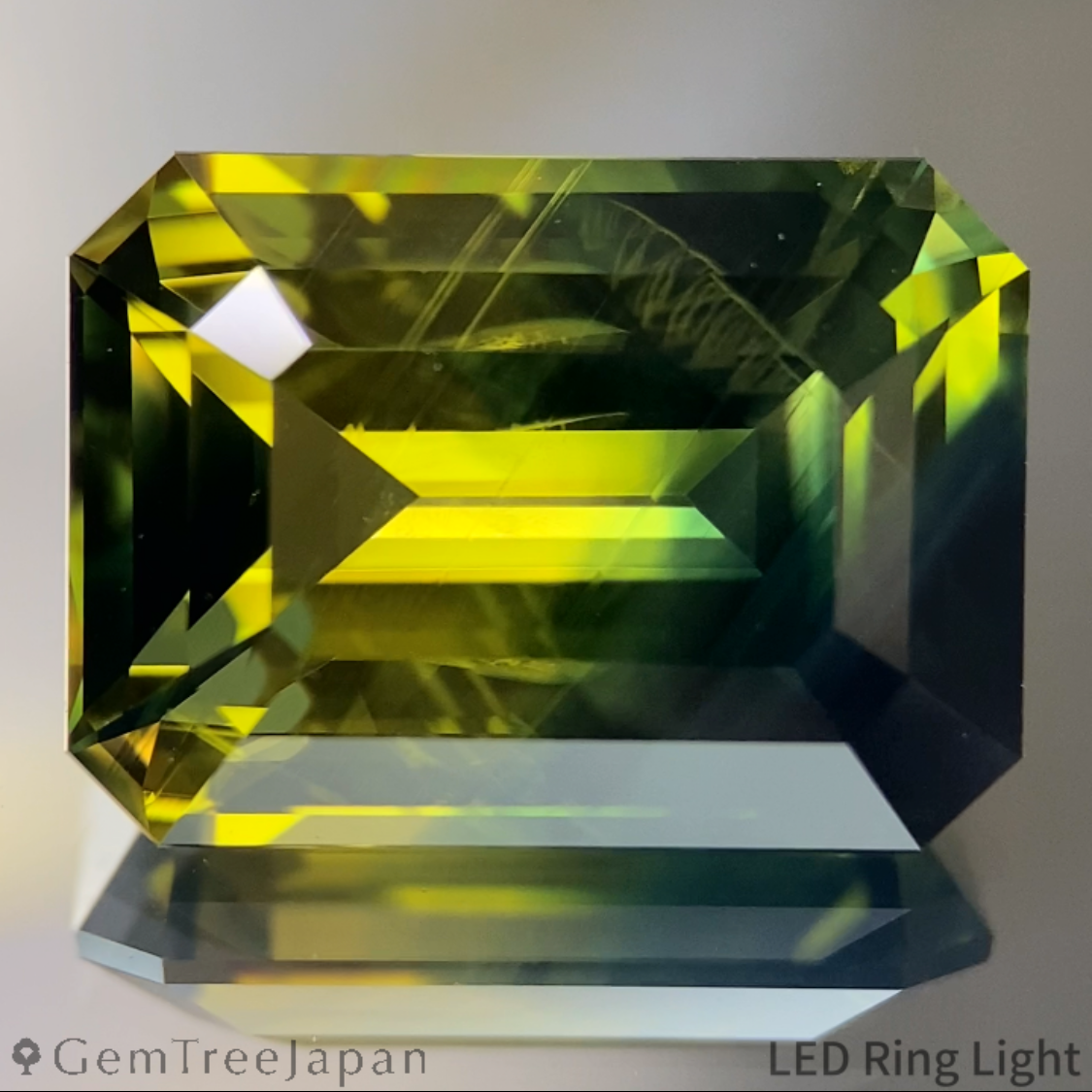 Bi-Color Sapphire 10.216ct / Nigeria