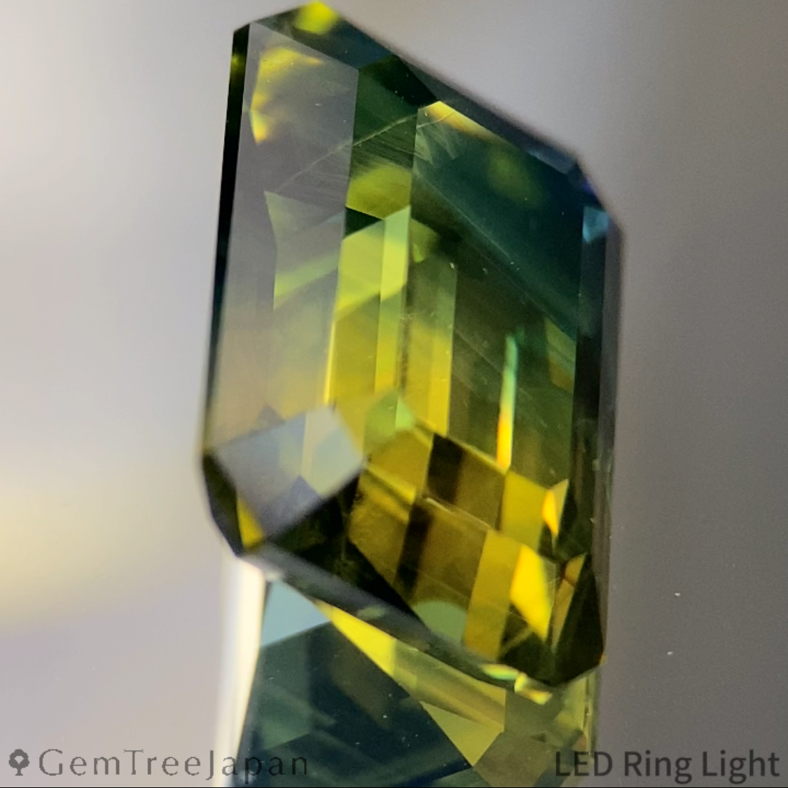 Bi-Color Sapphire 10.216ct / Nigeria