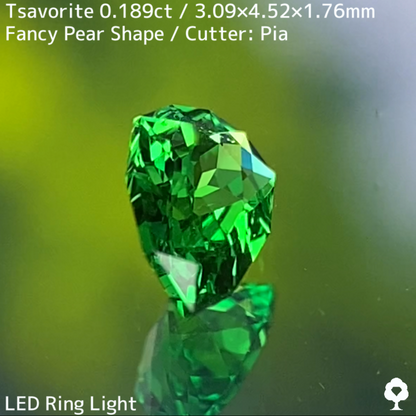 Tsavorite (Grossular Garnet) 0.189ct