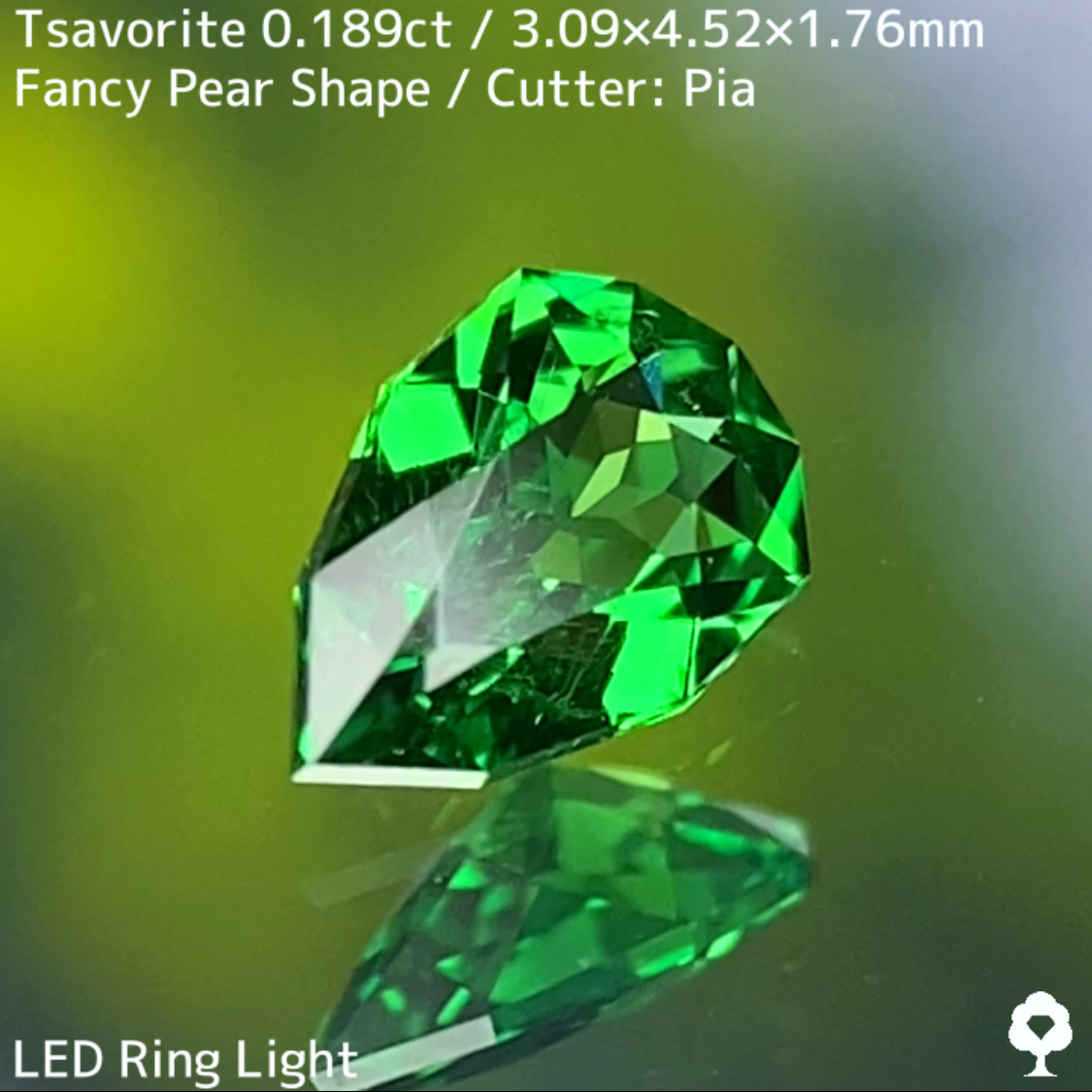 Tsavorite (Grossular Garnet) 0.189ct