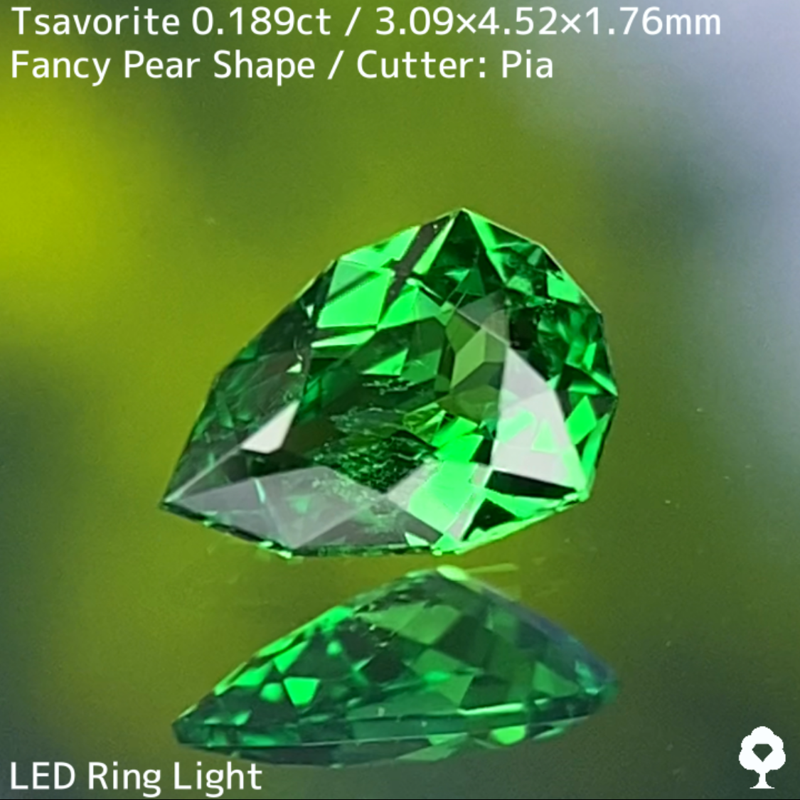 Tsavorite (Grossular Garnet) 0.189ct