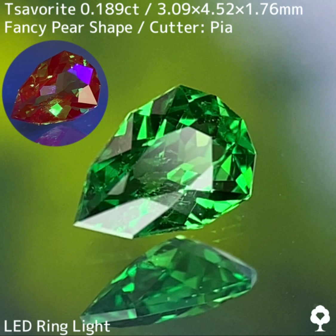 Tsavorite (Grossular Garnet) 0.189ct