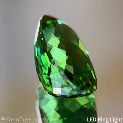 Bluish Green Tourmaline 1.015ct / Nigeria