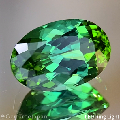Bluish Green Tourmaline 1.015ct / Nigeria