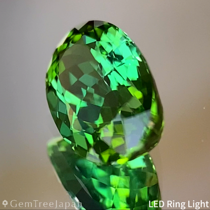 Bluish Green Tourmaline 1.015ct / Nigeria