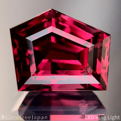 Malaya Garnet 3.335ct / Tanzania