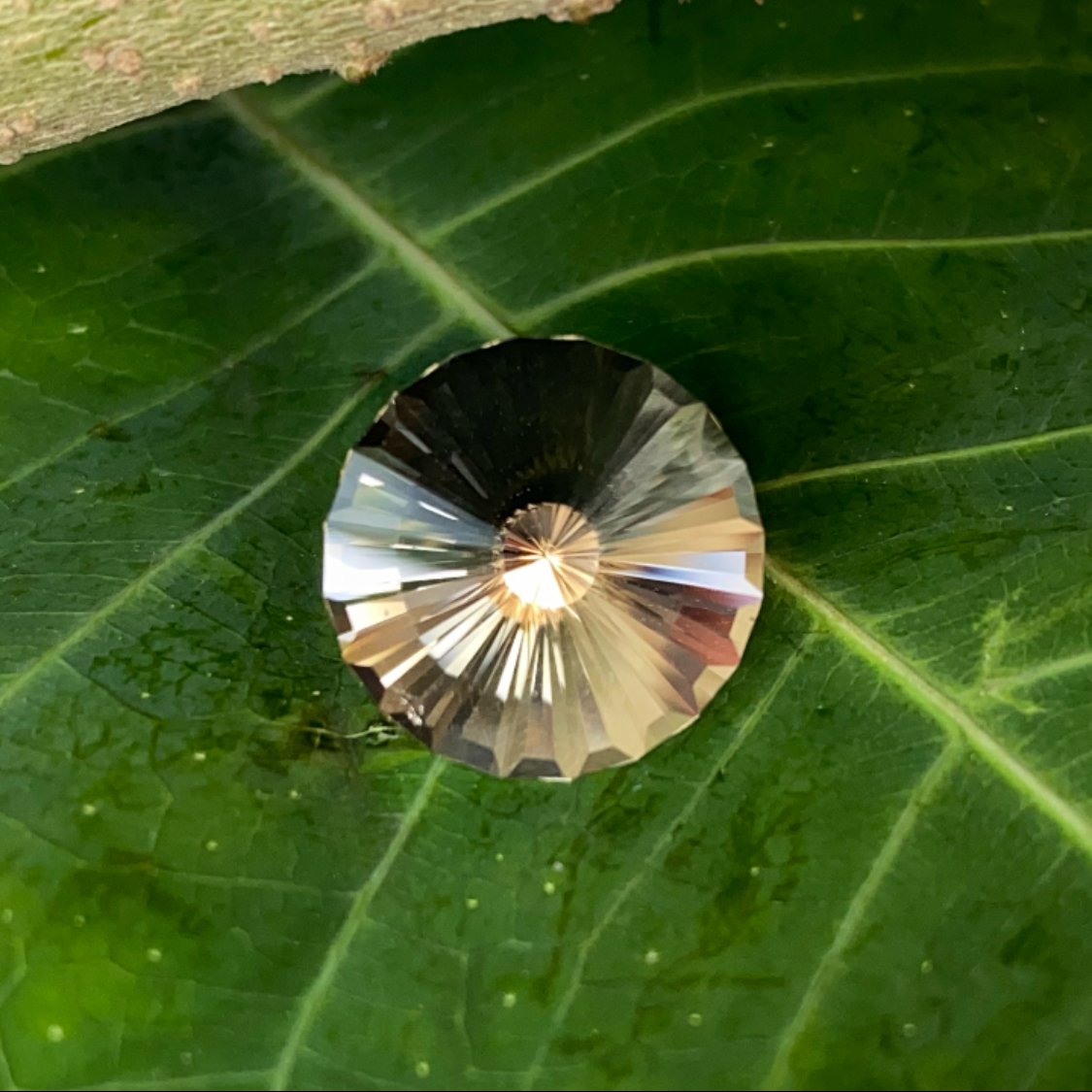 Smokey Quartz 6.54ct / Vietnam