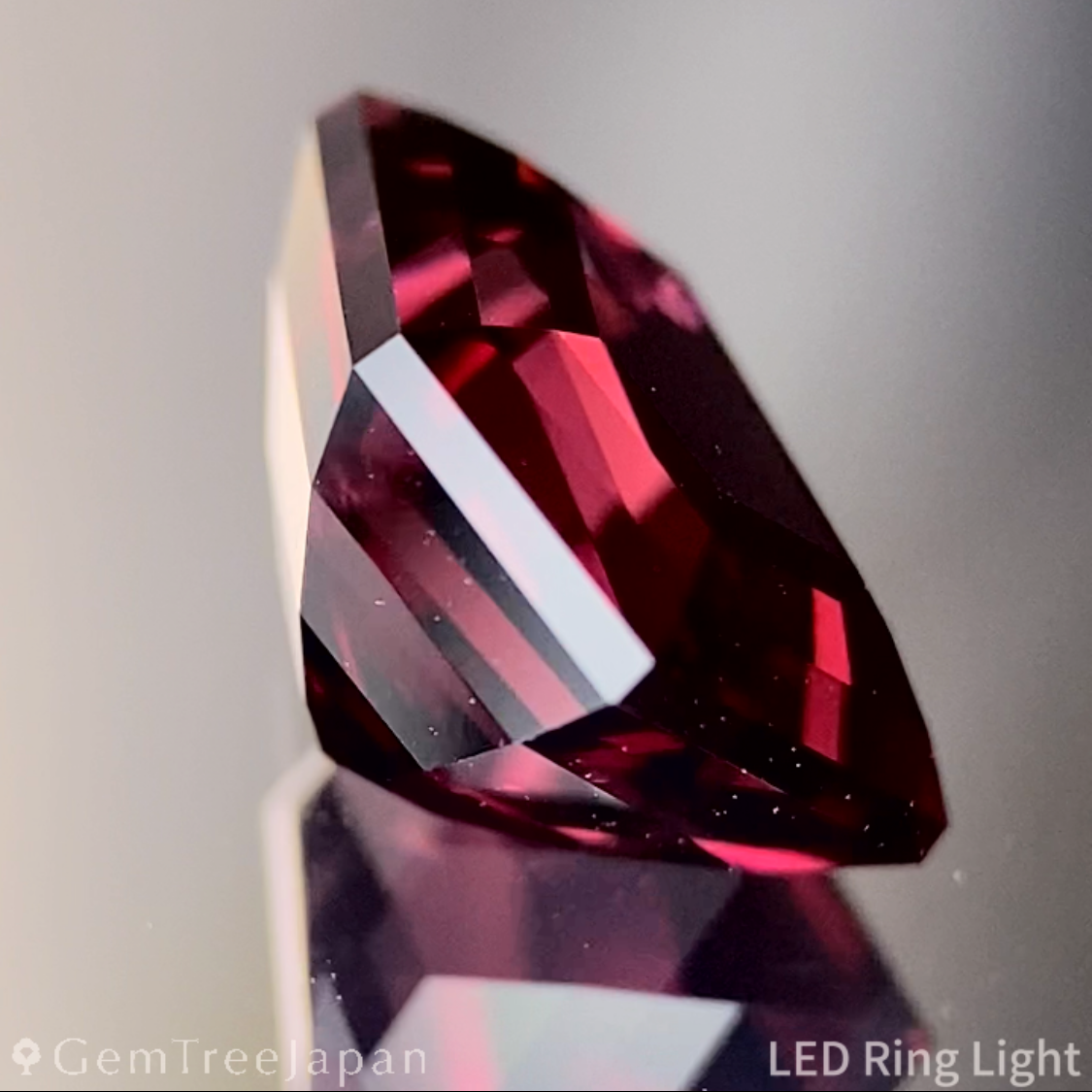 Malaya Garnet 3.335ct / Tanzania