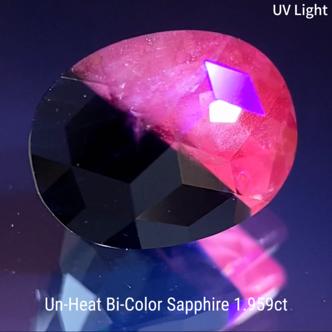 Un-Heat Bi-Color Sapphire 1.959ct / Vietnam