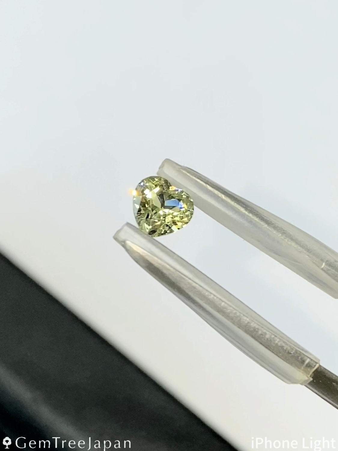 【Trial Price】Mali Garnet 0.420ct / Heart Shape
