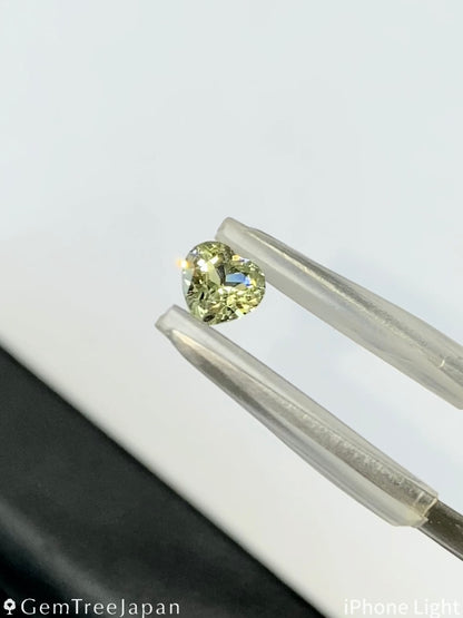 【Trial Price】Mali Garnet 0.420ct / Heart Shape