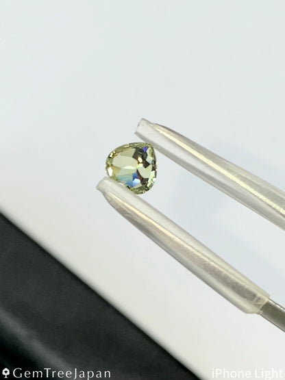 【Trial Price】Mali Garnet 0.420ct / Heart Shape
