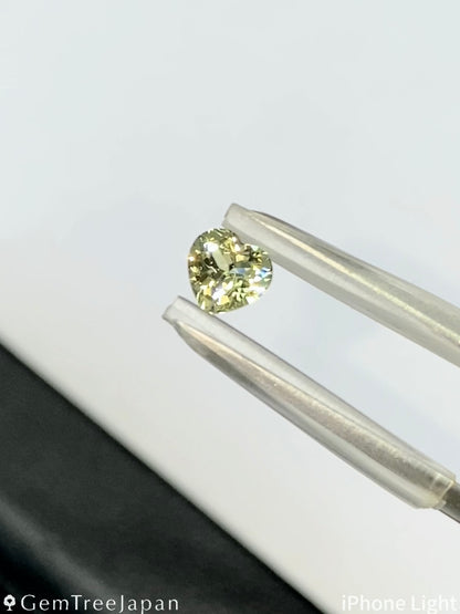 【Trial Price】Mali Garnet 0.420ct / Heart Shape