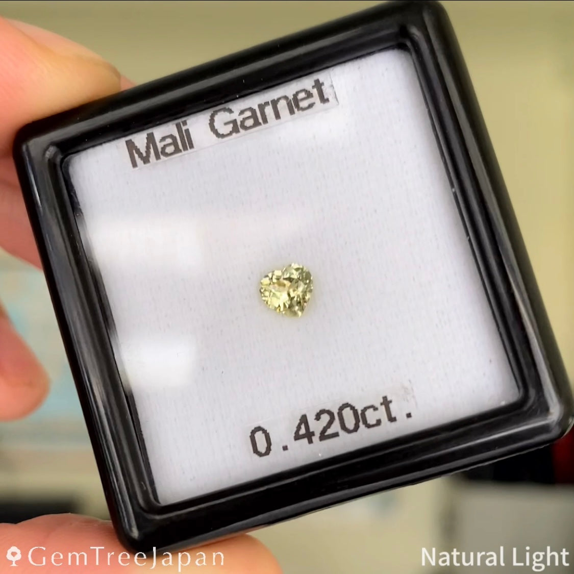 【Trial Price】Mali Garnet 0.420ct / Heart Shape