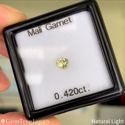 【Trial Price】Mali Garnet 0.420ct / Heart Shape