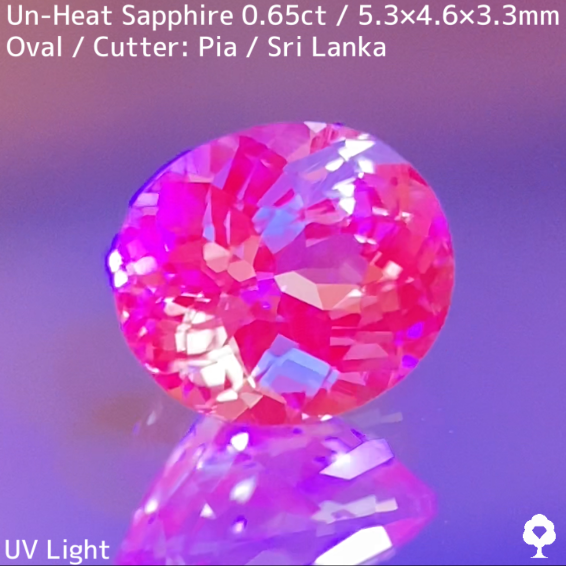 Un-Heat Sapphire 0.65ct / Sri Lanka