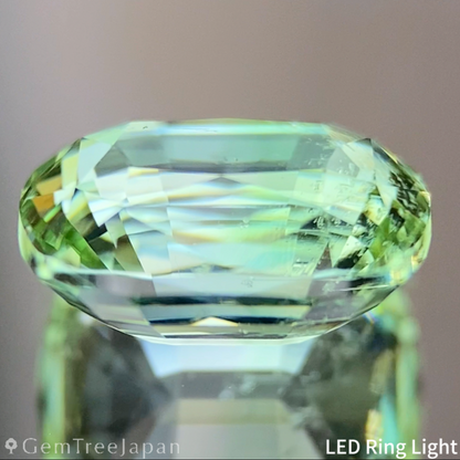 Light Green Tourmaline 2.862ct / Nigeria