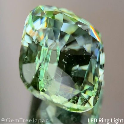 Light Green Tourmaline 2.862ct / Nigeria