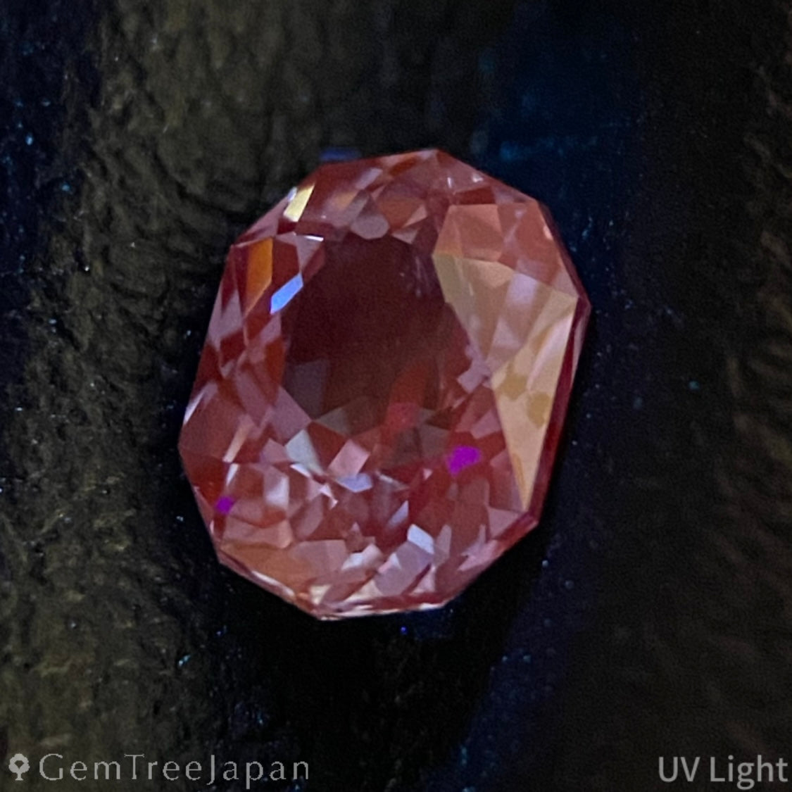 Unheated Sapphire 0.809ct / Sri Lanka