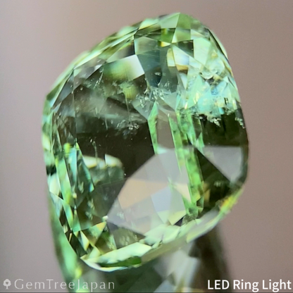 Light Green Tourmaline 2.862ct / Nigeria