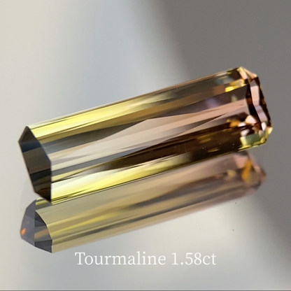 Bi-Color Tourmaline 1.583ct