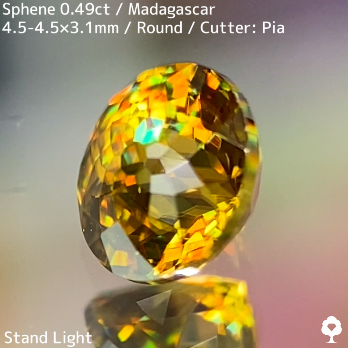 Sphene 0.49ct / Madagascar