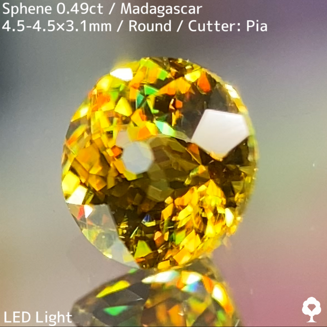 Sphene 0.49ct / Madagascar